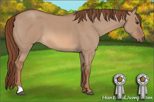 Horse Color: Red Dun Roan 