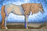 Horse Color:Gold Champagne