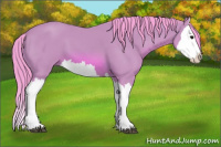 Horse Color:Watercolor Bay Splash 