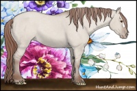 Horse Color:Classic Champagne Dun Varnish Rabicano 