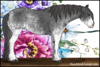 Horse Color:White Spotted Black Blanket 