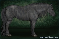 Horse Color:Black  Brindle