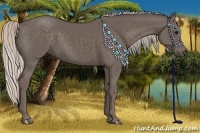 Horse Color:Silver Black 