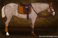 Horse Color:Red Roan 