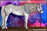 Horse Color:White Spotted Liver Red Roan Splash 