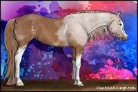 Horse Color:White Spotted Chestnut Sabino