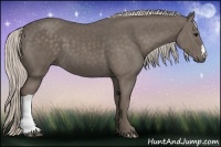 Horse Color:Silver Black 