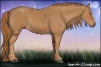Horse Color:Chestnut Rabicano 