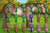 Horse Color:Gray Chestnut 