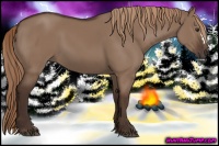 Horse Color:Liver Red Dun 