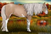 Horse Color:Silver Black Pearl Sabino 