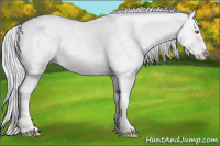 Horse Color:Silver Classic Champagne Chinchilla Dun Splash 