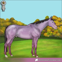 Horse Color:Amber Champagne Dun 