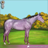 Horse Color:Amber Champagne Dun 