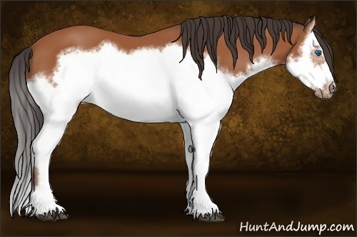 Horse Color:Bay Splash Frame