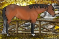 Horse Color:Brown 