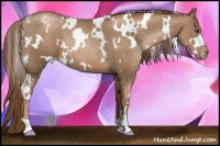 Horse Color:White Spotted Liver Chestnut Pearl 
