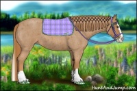 Horse Color:Red Roan Splash 