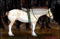 Horse Color:Gray Silver Amber Cream Champagne Roan Dun Splash Tobiano Frame Near Leopard Rabicano 