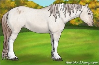 Horse Color:Bay Dun Tobiano Blanket 