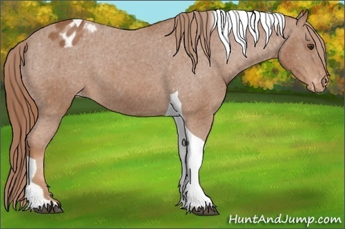 Horse Color: Chestnut Tobiano Varnish 