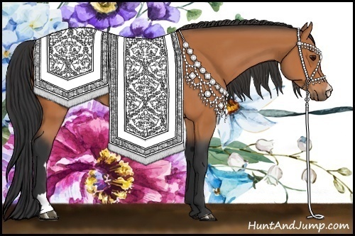 Horse Color: Bay 