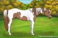 Horse Color:Chestnut Tobiano 
