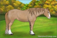 Horse Color:Chestnut Splash Varnish