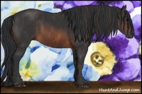 Horse Color:Brown Rabicano  Brindle
