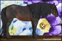 Horse Color:Brown Rabicano  Brindle