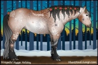 Horse Color:Gray Bay 