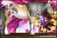 Horse Color:Gray Buckskin Tobiano 