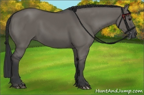 Horse Color: Grullo 
