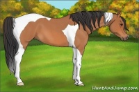 Horse Color:Bay Roan Tobiano
