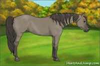 Horse Color:Smoky Grullo 