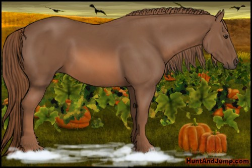 Horse Color: Chestnut 