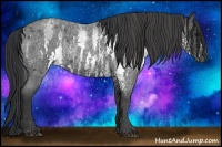 Horse Color:White Spotted Blue Roan Rabicano Brindle