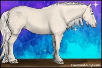 Horse Color:Cremello Rabicano 