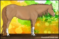 Horse Color:Chestnut Splash Frame 