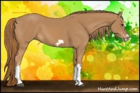 Horse Color:Chestnut Splash Frame