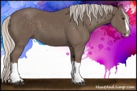 Horse Color:Silver Black Splash 