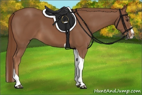 Horse Color:Chestnut Splash Tobiano