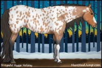 Horse Color:Bay Roan Near Leopard 