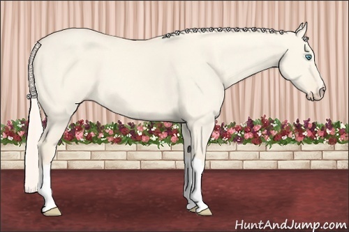 Horse Color: Cremello Dun 