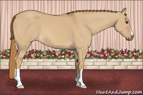 Horse Color: Red Dun 
