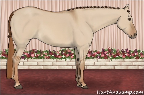 Horse Color: Red Dun 
