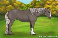 Horse Color:Silver Black 