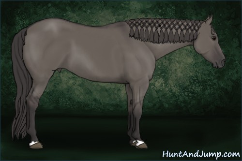 Horse Color: Smoky Grullo 