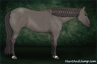 Horse Color:Smoky Grullo 