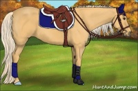 Horse Color:Palomino 